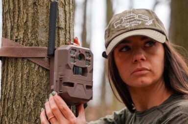 cellular trail camera​